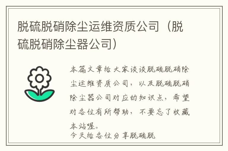 脱硫脱硝除尘运维资质公司（脱硫脱硝除尘器公司）