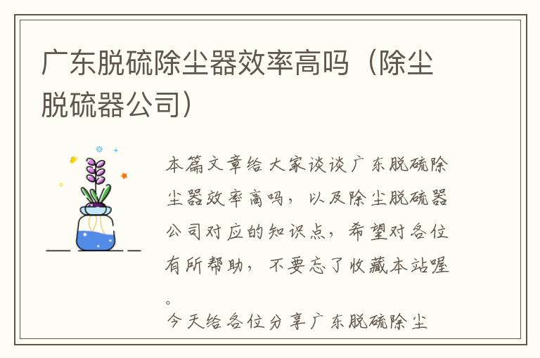 广东脱硫除尘器效率高吗（除尘脱硫器公司）