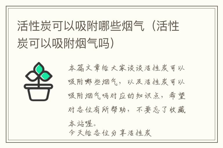 活性炭可以吸附哪些烟气（活性炭可以吸附烟气吗）