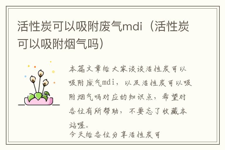 活性炭可以吸附废气mdi（活性炭可以吸附烟气吗）