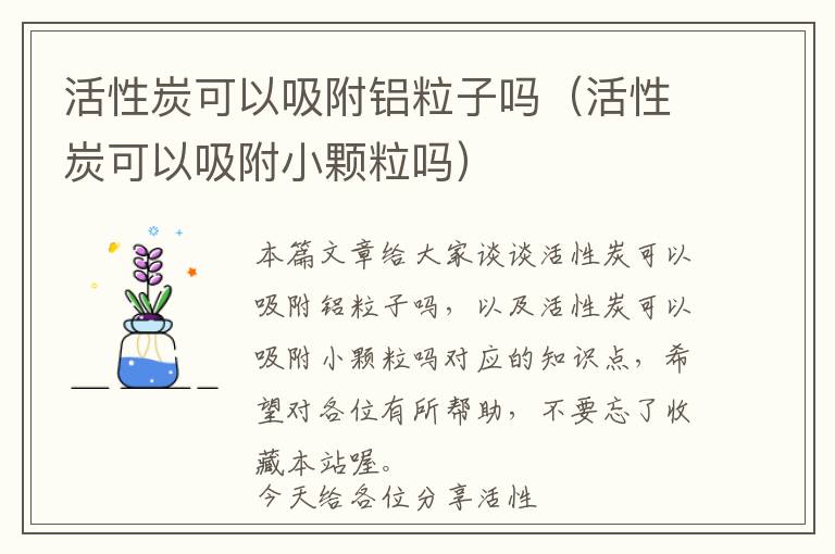 活性炭可以吸附铝粒子吗（活性炭可以吸附小颗粒吗）