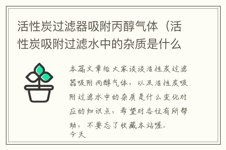 活性炭过滤器吸附丙醇气体（活性炭吸附过滤水中的杂质是什么变化）