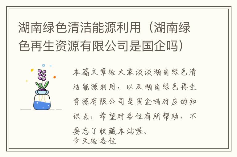 湖南绿色清洁能源利用（湖南绿色再生资源有限公司是国企吗）