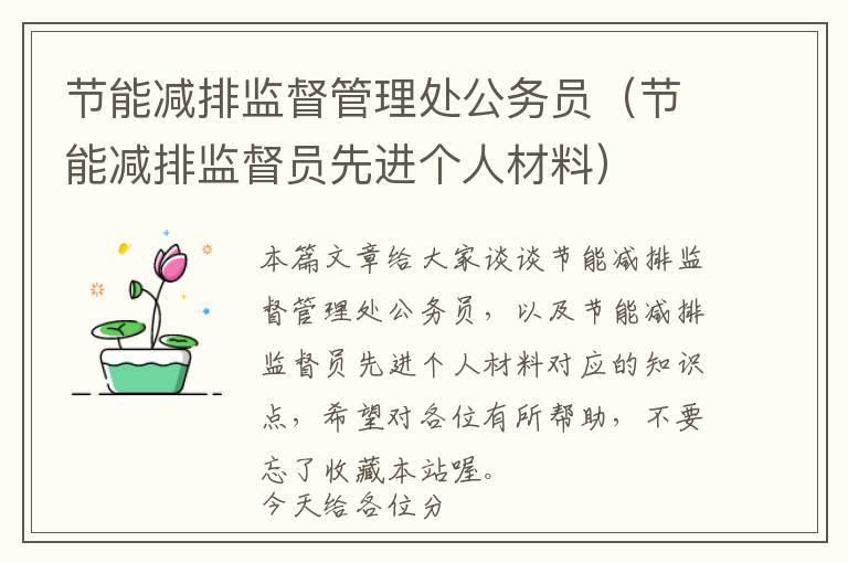 节能减排监督管理处公务员（节能减排监督员先进个人材料）