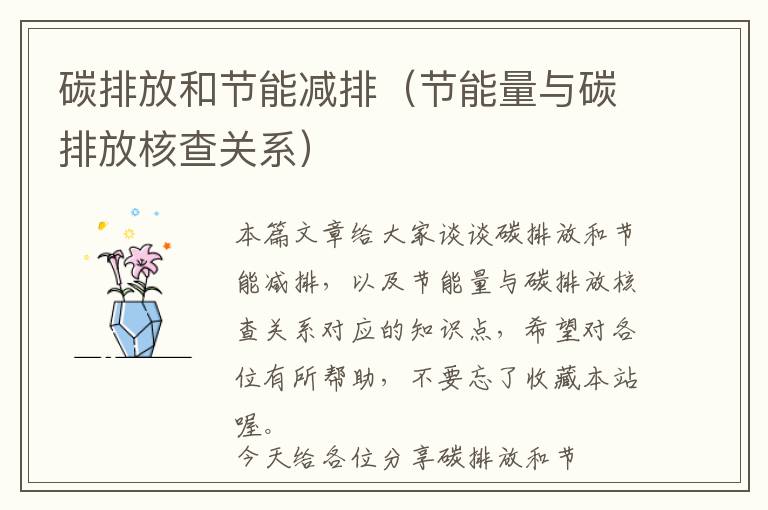 碳排放和节能减排（节能量与碳排放核查关系）