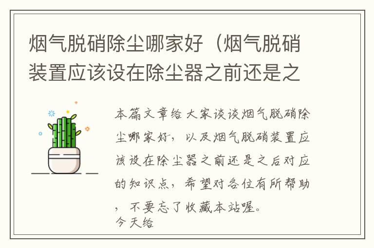 烟气脱硝除尘哪家好（烟气脱硝装置应该设在除尘器之前还是之后）