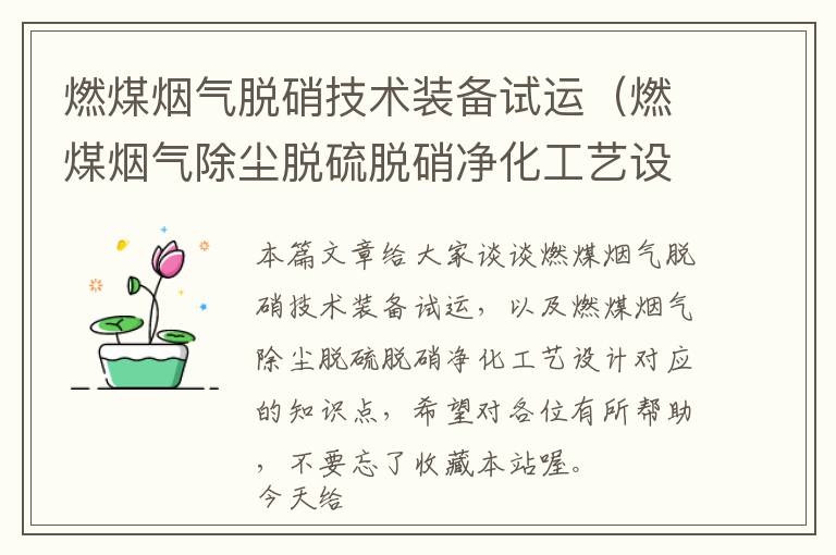 燃煤烟气脱硝技术装备试运（燃煤烟气除尘脱硫脱硝净化工艺设计）