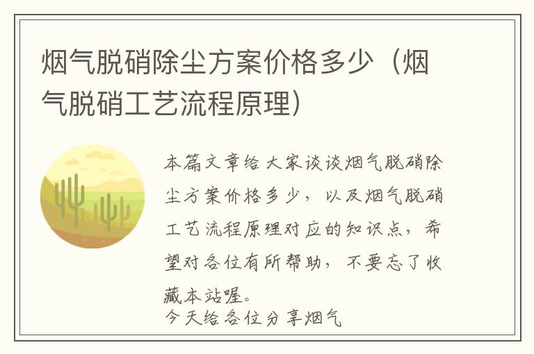 烟气脱硝除尘方案价格多少（烟气脱硝工艺流程原理）