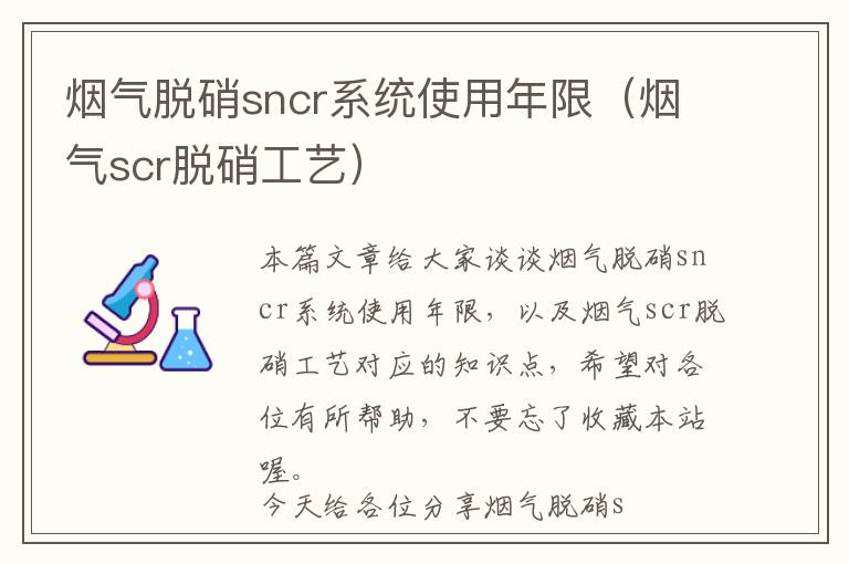 烟气脱硝sncr系统使用年限（烟气scr脱硝工艺）