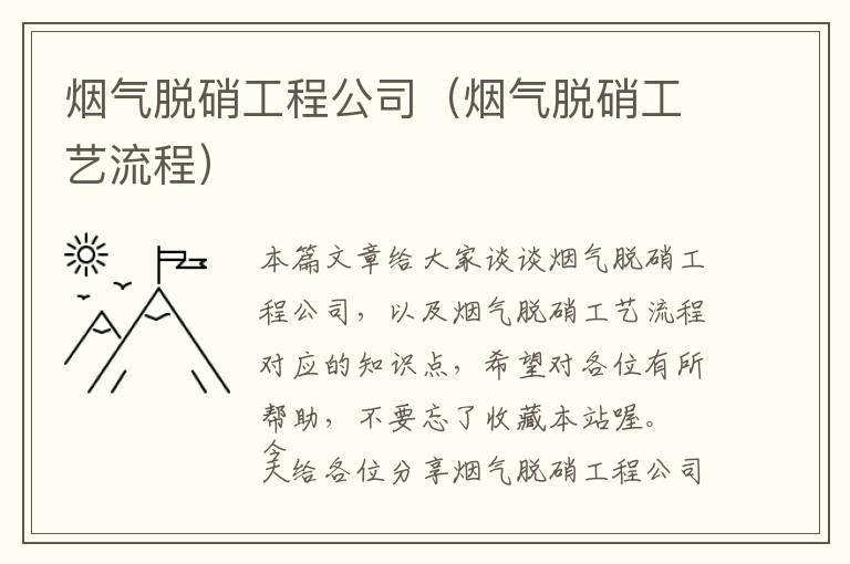 烟气脱硝工程公司（烟气脱硝工艺流程）