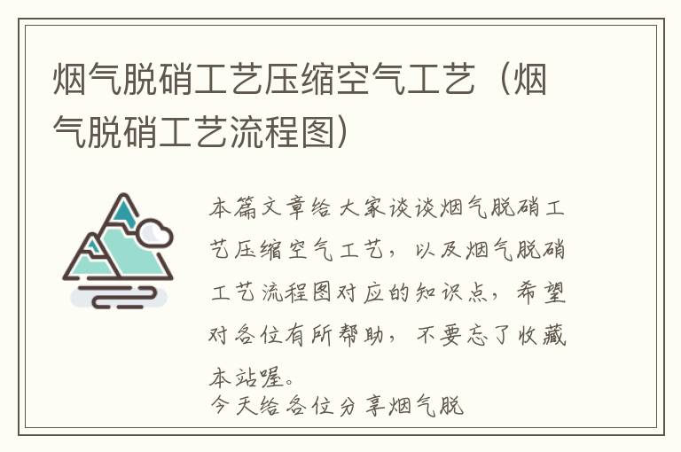 烟气脱硝工艺压缩空气工艺（烟气脱硝工艺流程图）