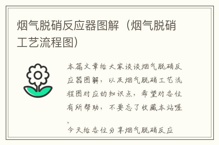 烟气脱硝反应器图解（烟气脱硝工艺流程图）