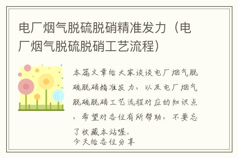 电厂烟气脱硫脱硝精准发力（电厂烟气脱硫脱硝工艺流程）