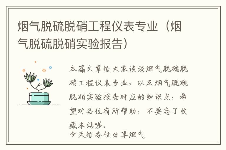 烟气脱硫脱硝工程仪表专业（烟气脱硫脱硝实验报告）