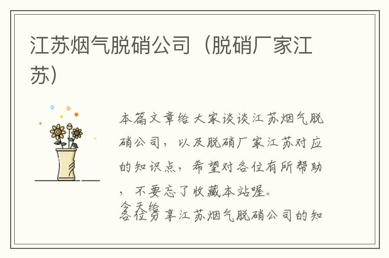 江苏烟气脱硝公司（脱硝厂家江苏）