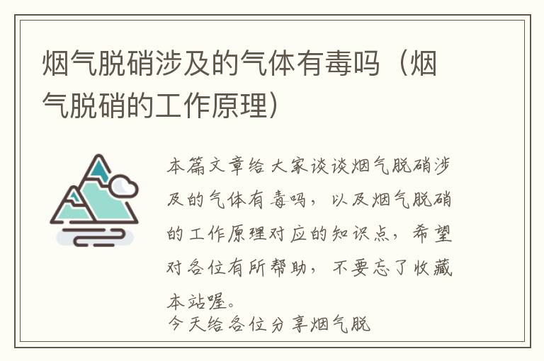 烟气脱硝涉及的气体有毒吗（烟气脱硝的工作原理）