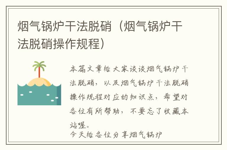 烟气锅炉干法脱硝（烟气锅炉干法脱硝操作规程）