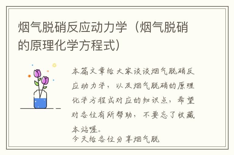 烟气脱硝反应动力学（烟气脱硝的原理化学方程式）