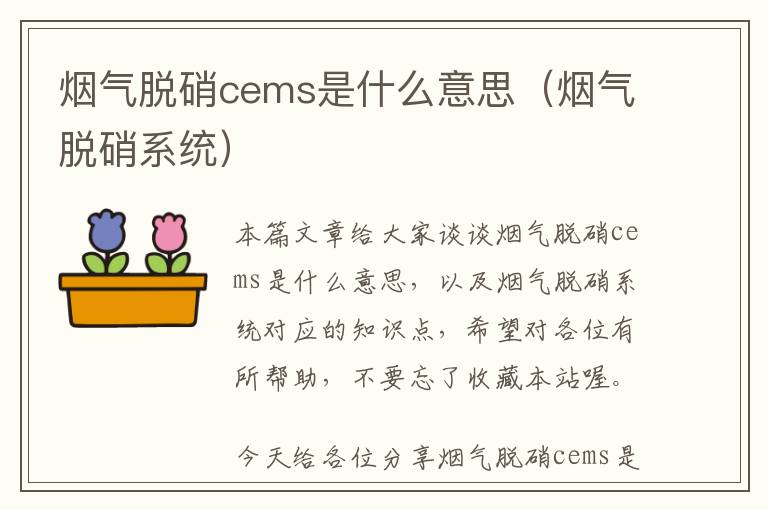 烟气脱硝cems是什么意思（烟气脱硝系统）