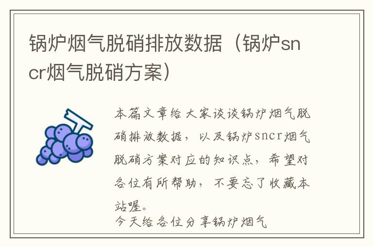 锅炉烟气脱硝排放数据（锅炉sncr烟气脱硝方案）