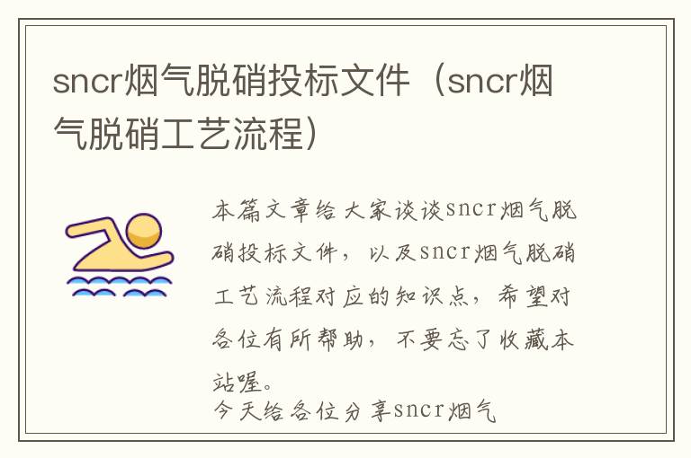 sncr烟气脱硝投标文件（sncr烟气脱硝工艺流程）